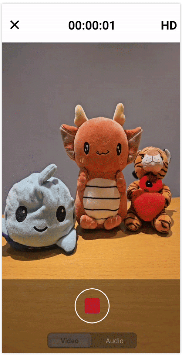 A video recording is saved.