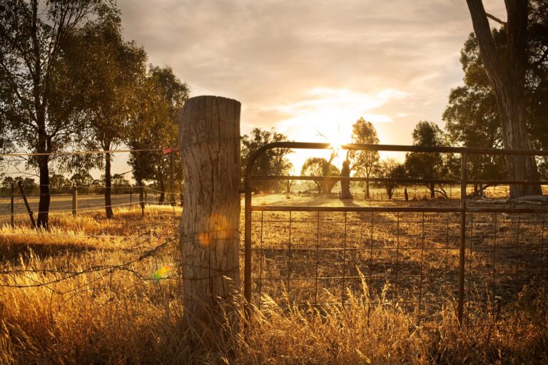 YuJa Contributes to Heartland Community College and Illinois Community Colleges Online’s Accessibility Efforts