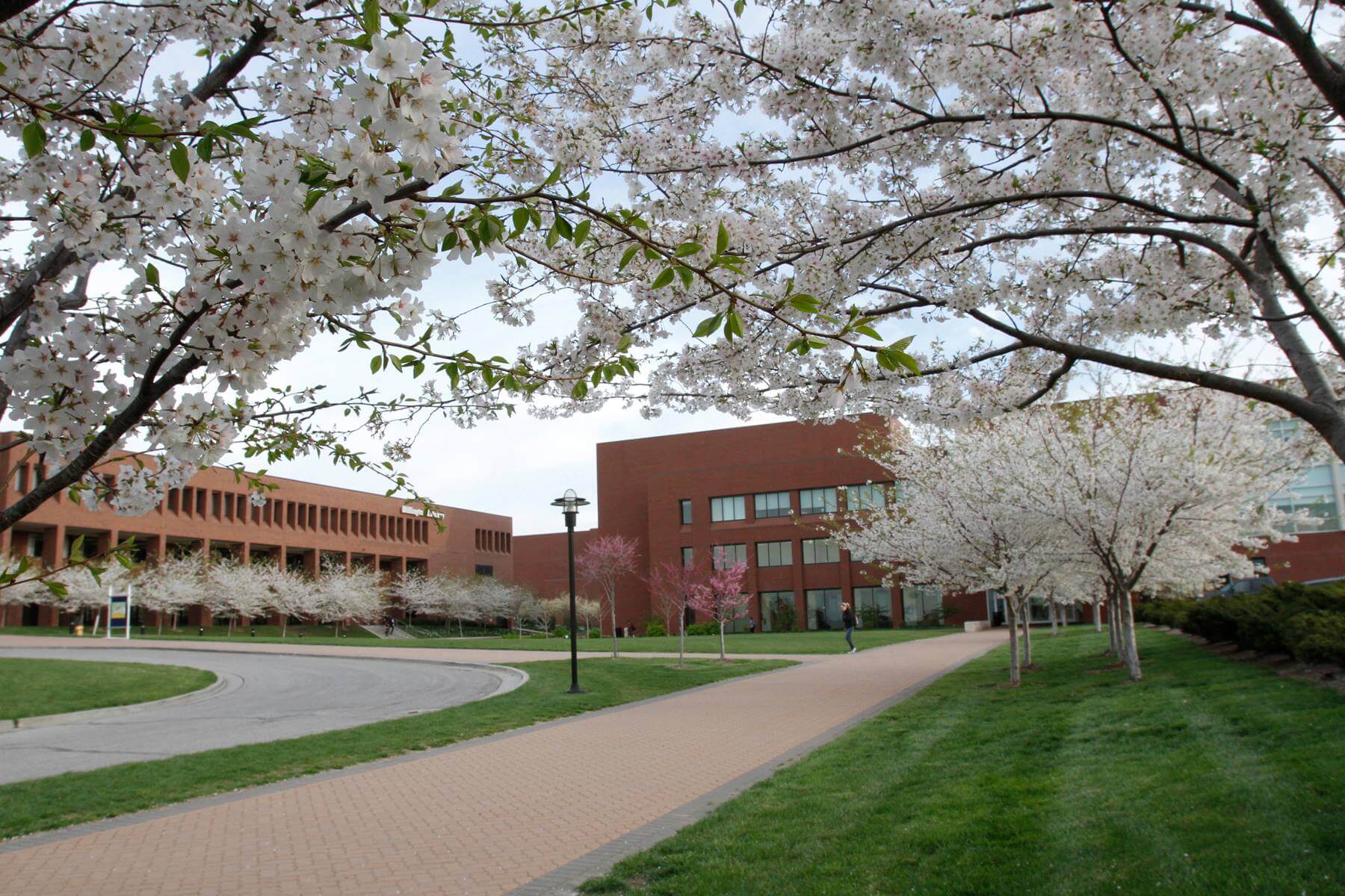 Johnson County Community College building.