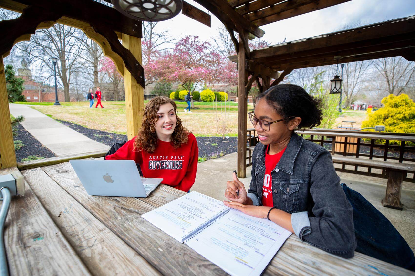 Two students sitting at a table, working on a laptop together.