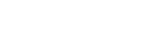 Zoom logo.